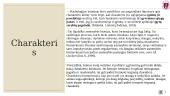 Charakterio struktūra ir bruožai. Charakterio akcentuacijos. Charakterio prigimtis ir raiška 4 puslapis