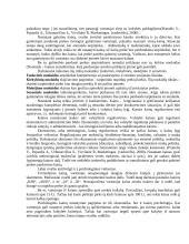 Marketingo pradmenys teorija 11 puslapis