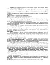 Marketingo pradmenys teorija 15 puslapis