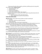 Marketingo pradmenys teorija 17 puslapis