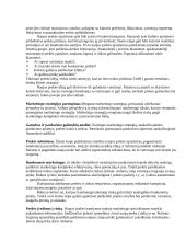 Marketingo pradmenys teorija 18 puslapis