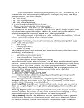 Marketingo pradmenys teorija 19 puslapis