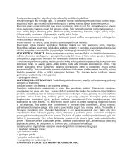 Marketingo pradmenys teorija 7 puslapis