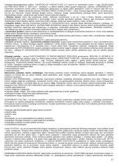 Marketingo terminai 17 puslapis