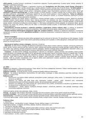 Marketingo terminai 19 puslapis