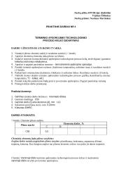 Terminio apdorojimo technologinio proceso kelio sudarymas