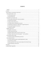 Verslo paskolos ir jų kainodara