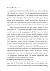 Verslo paskolos ir jų kainodara 11 puslapis