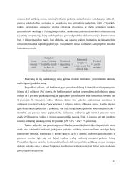 Verslo paskolos ir jų kainodara 15 puslapis