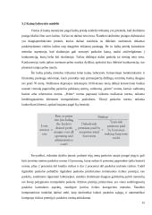 Verslo paskolos ir jų kainodara 16 puslapis