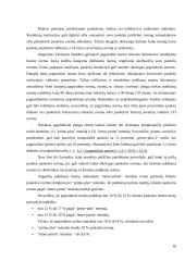 Verslo paskolos ir jų kainodara 17 puslapis