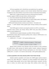 Verslo paskolos ir jų kainodara 18 puslapis