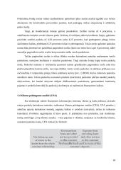 Verslo paskolos ir jų kainodara 19 puslapis