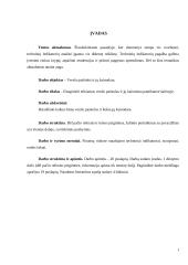 Verslo paskolos ir jų kainodara 2 puslapis