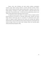 Verslo paskolos ir jų kainodara 20 puslapis