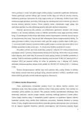 Verslo paskolos ir jų kainodara 6 puslapis