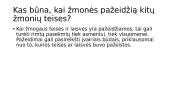 Žmogaus teisės ir jų įtvirtinimas Lietuvos Respublikos konstitucinėje teisėje 8 puslapis