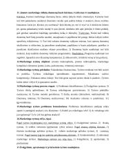 Marketingo tyrimų pagrindinė informacija 3 puslapis
