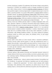 Marketingo tyrimų pagrindinė informacija 7 puslapis