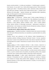 Marketingo tyrimų pagrindinė informacija 8 puslapis