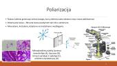Mikroskopija: skaidrės 15 puslapis