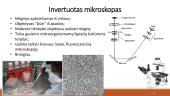 Mikroskopija: skaidrės 20 puslapis