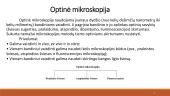 Mikroskopija: skaidrės 3 puslapis