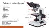 Mikroskopija: skaidrės 4 puslapis