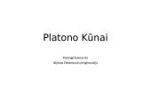 Platono kūnai