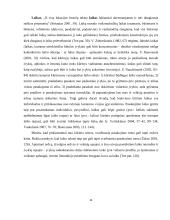 Vinco Krėvės apsakymų „Silkės“ ir „Žmoną pamokė“ lokacija 9 puslapis