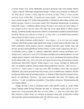 Vinco Krėvės apsakymų „Silkės“ ir „Žmoną pamokė“ lokacija 13 puslapis