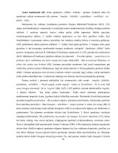 Vinco Krėvės apsakymų „Silkės“ ir „Žmoną pamokė“ lokacija 14 puslapis