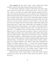 Vinco Krėvės apsakymų „Silkės“ ir „Žmoną pamokė“ lokacija 16 puslapis