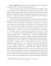 Vinco Krėvės apsakymų „Silkės“ ir „Žmoną pamokė“ lokacija 17 puslapis