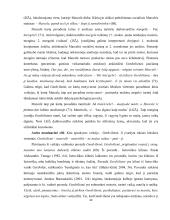 Vinco Krėvės apsakymų „Silkės“ ir „Žmoną pamokė“ lokacija 20 puslapis