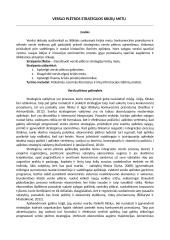 Verslo plėtros strategijos krizių metu