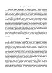 Verslo plėtros strategijos krizių metu 3 puslapis