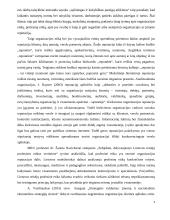 Profesinės etikos svarba organizacijos reputacijai 3 puslapis