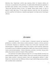 Profesinės etikos svarba organizacijos reputacijai 6 puslapis