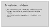 „Jono Graužos nuotykiai“ pristatymas 2 puslapis
