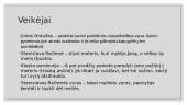 „Jono Graužos nuotykiai“ pristatymas 3 puslapis