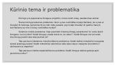„Jono Graužos nuotykiai“ pristatymas 7 puslapis