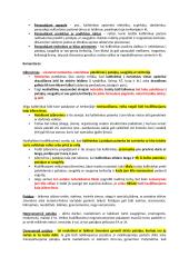 Vagystės pagrindinė sudėtis 11 puslapis