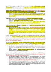 Vagystės pagrindinė sudėtis 7 puslapis