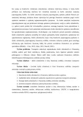 Darbo užmokesčio ir kitų finansinių rodiklių vertinimas transporto sektoriuje 2 puslapis