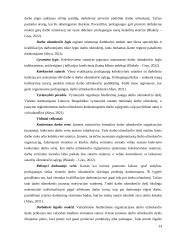 Darbo užmokesčio ir kitų finansinių rodiklių vertinimas transporto sektoriuje 14 puslapis