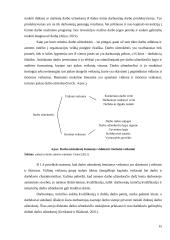 Darbo užmokesčio ir kitų finansinių rodiklių vertinimas transporto sektoriuje 15 puslapis