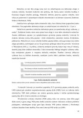 Darbo užmokesčio ir kitų finansinių rodiklių vertinimas transporto sektoriuje 19 puslapis