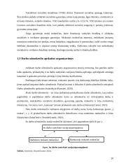 Darbo užmokesčio ir kitų finansinių rodiklių vertinimas transporto sektoriuje 20 puslapis