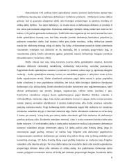 Darbo užmokesčio ir kitų finansinių rodiklių vertinimas transporto sektoriuje 6 puslapis